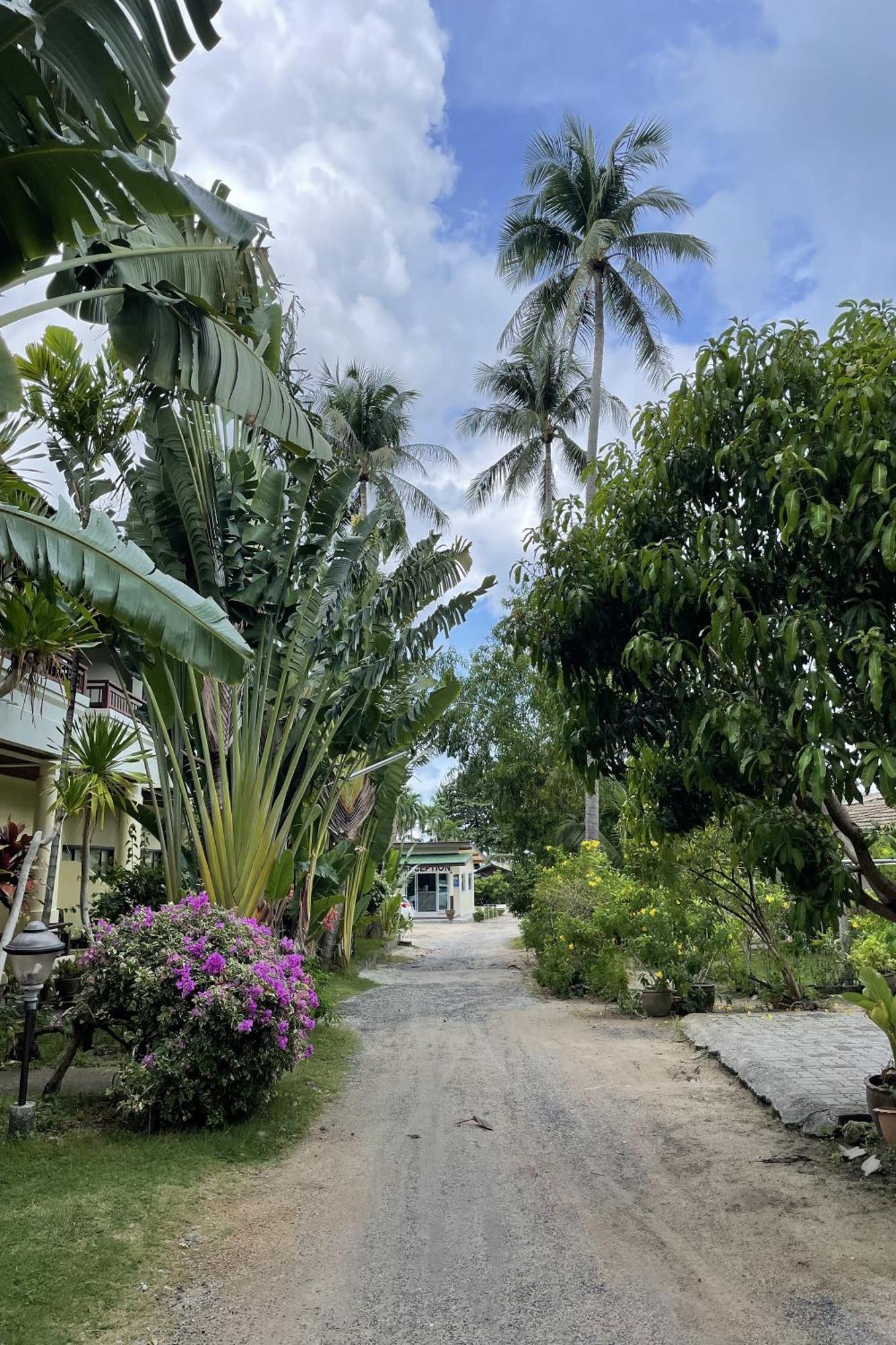 Sea Breeze Bungalow Lamai Beach  Exterior photo